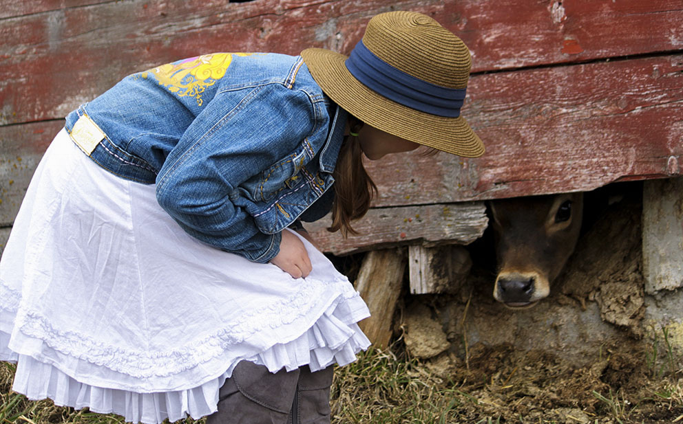 girl and calf